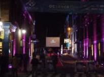 NHFF Opening Ceremonies Red Carpet